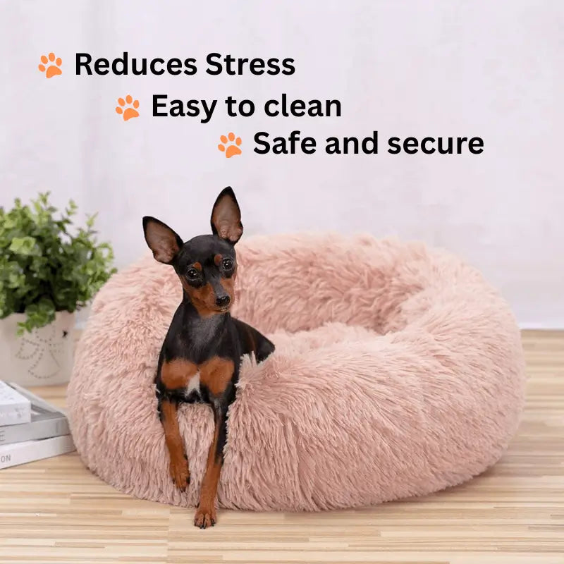 AnimalHaus™ Supportive Calmdog Pod