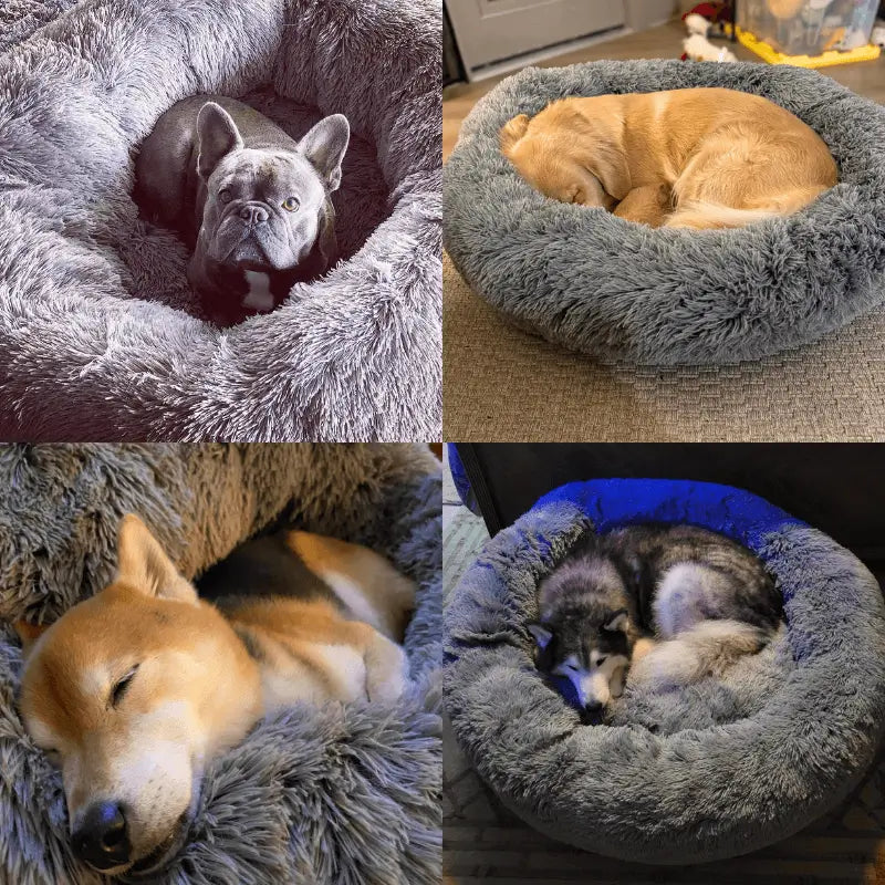 AnimalHaus™ Supportive Calmdog Pod