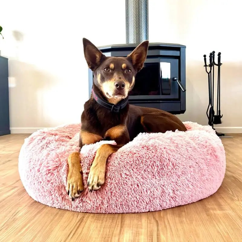 AnimalHaus™ Supportive Calmdog Pod