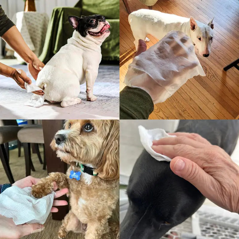 AnimalHaus™ Gentle Grooming Wipes with Grape Seed Oil