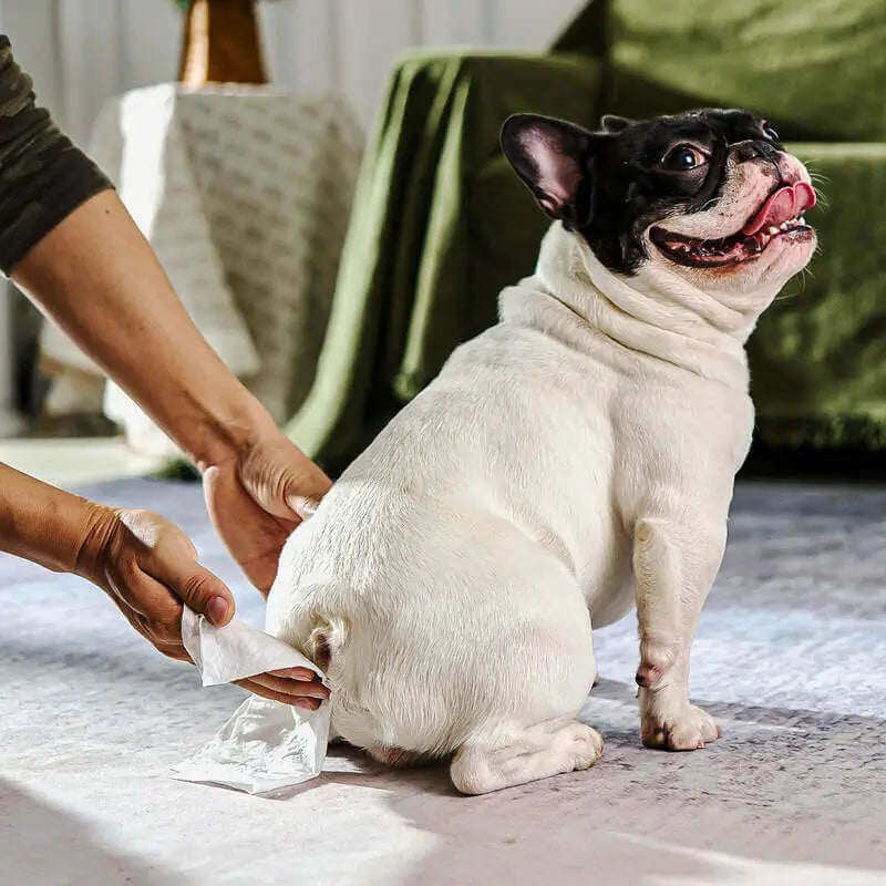 AnimalHaus™ Gentle Grooming Wipes with Grape Seed Oil