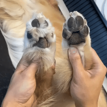 AnimalHaus™ EzyTrim Kit 4-in-1