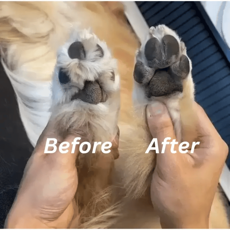 AnimalHaus™ EzyTrim Kit