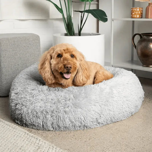 AnimalHaus™ Supportive Calmdog Pod