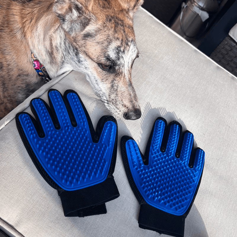 AnimalHaus™ Groomie Gloves