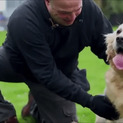 AnimalHaus™ Groomie Gloves