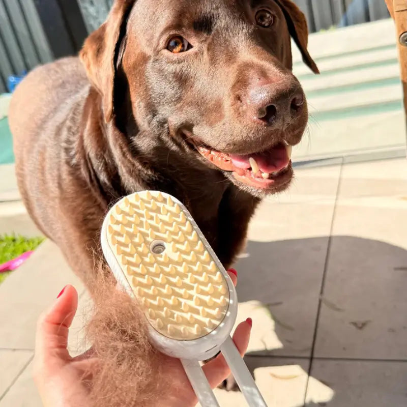AnimalHaus™ SteamCare Pet Brush