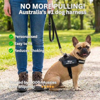 AnimalHaus™ SureStride Harness