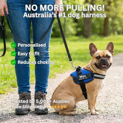 AnimalHaus™ SureStride Harness