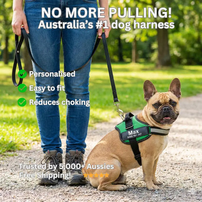 AnimalHaus™ SureStride Harness