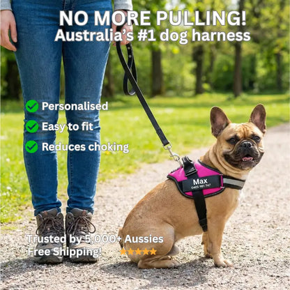AnimalHaus™ SureStride Harness