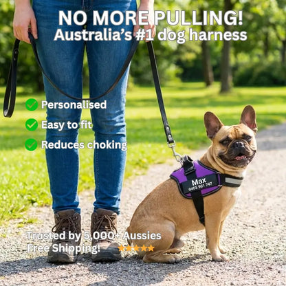 AnimalHaus™ SureStride Harness