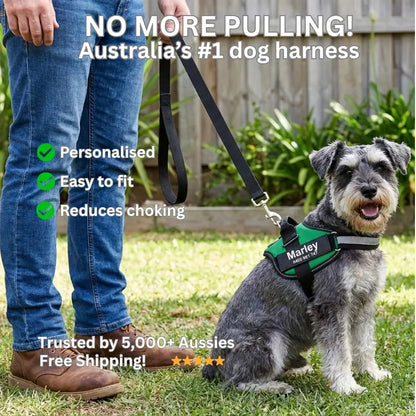 AnimalHaus™ SureStride Harness