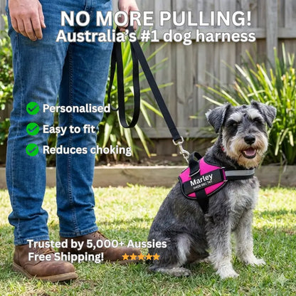 AnimalHaus™ SureStride Harness