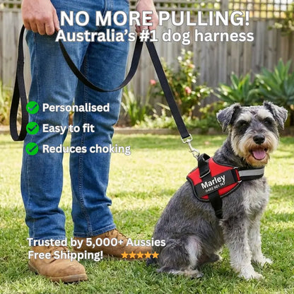 AnimalHaus™ SureStride Harness