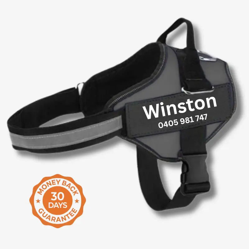 AnimalHaus™ SureStride Harness