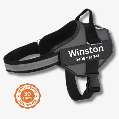 AnimalHaus™ SureStride Harness