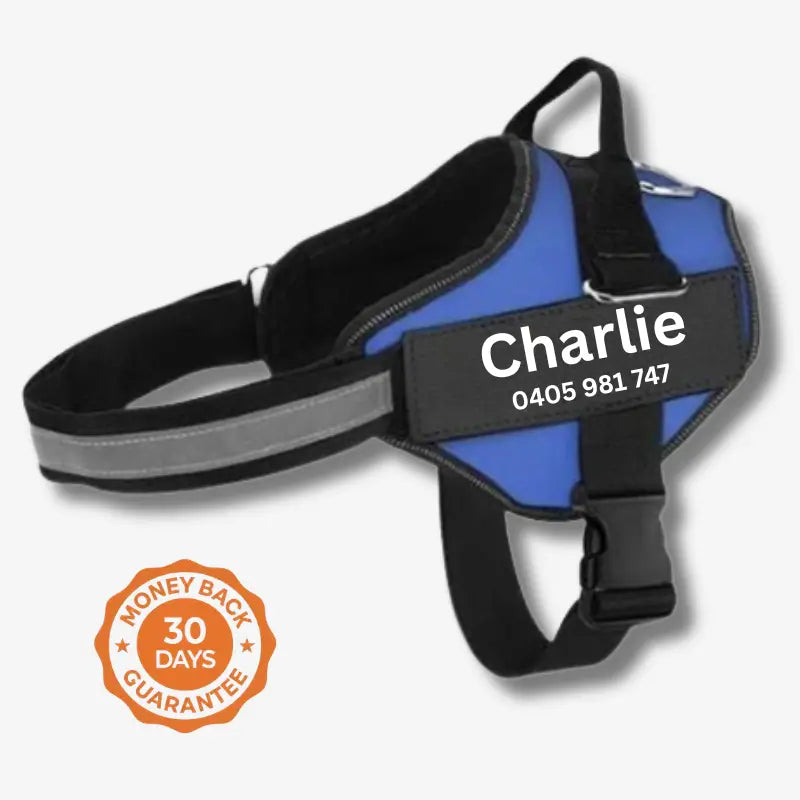 AnimalHaus™ SureStride Harness