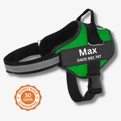 AnimalHaus™ SureStride Harness