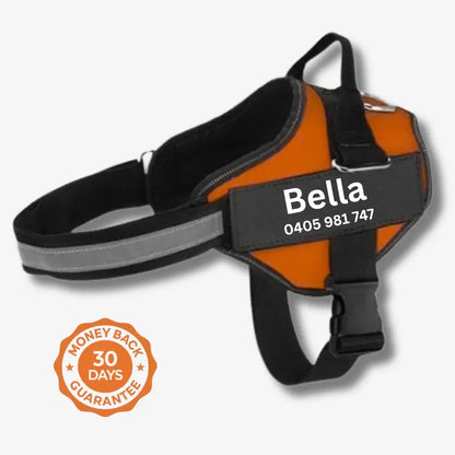 AnimalHaus™ SureStride Harness