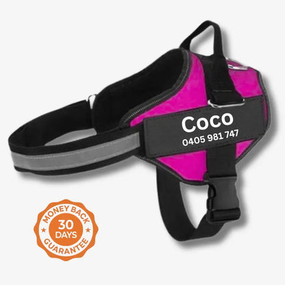 AnimalHaus™ SureStride Harness