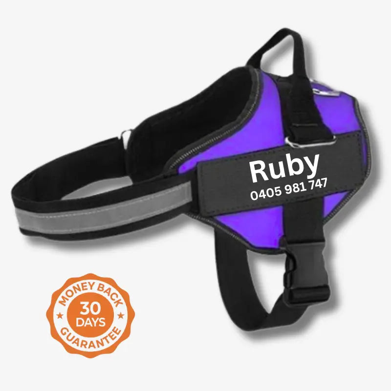 AnimalHaus™ SureStride Harness