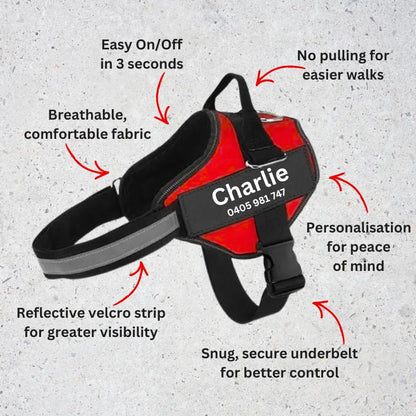 AnimalHaus™ SureStride Harness