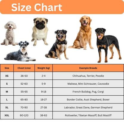 AnimalHaus™ SureStride Harness