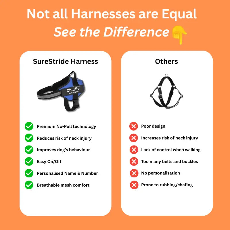 AnimalHaus™ SureStride Harness