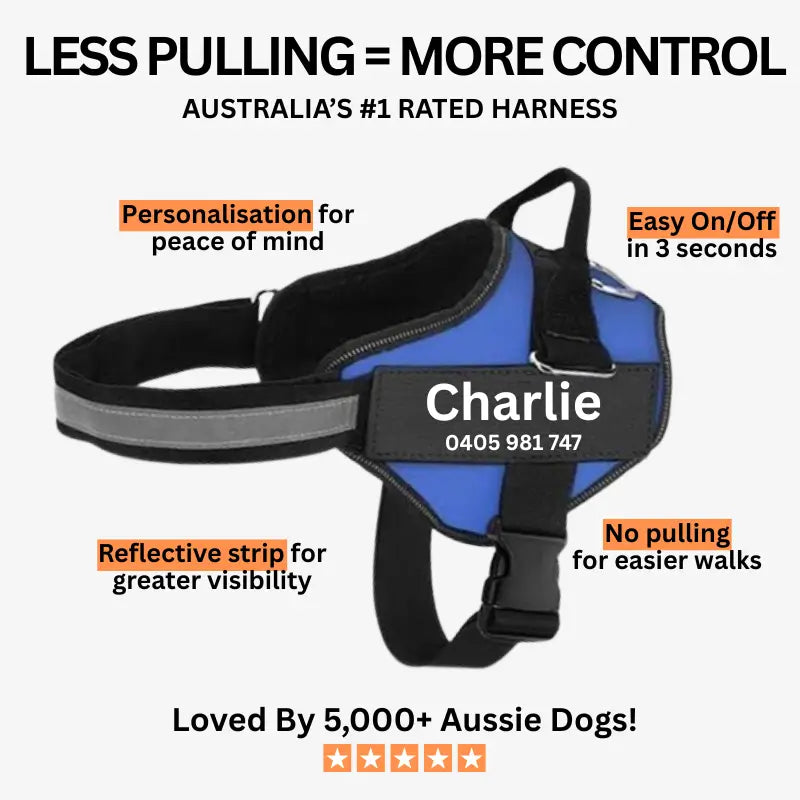 AnimalHaus™ SureStride Harness