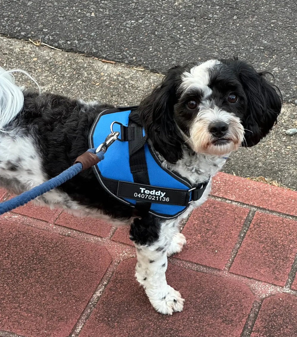 <h2>Some of our 5,000+ happy customers .....</h2>