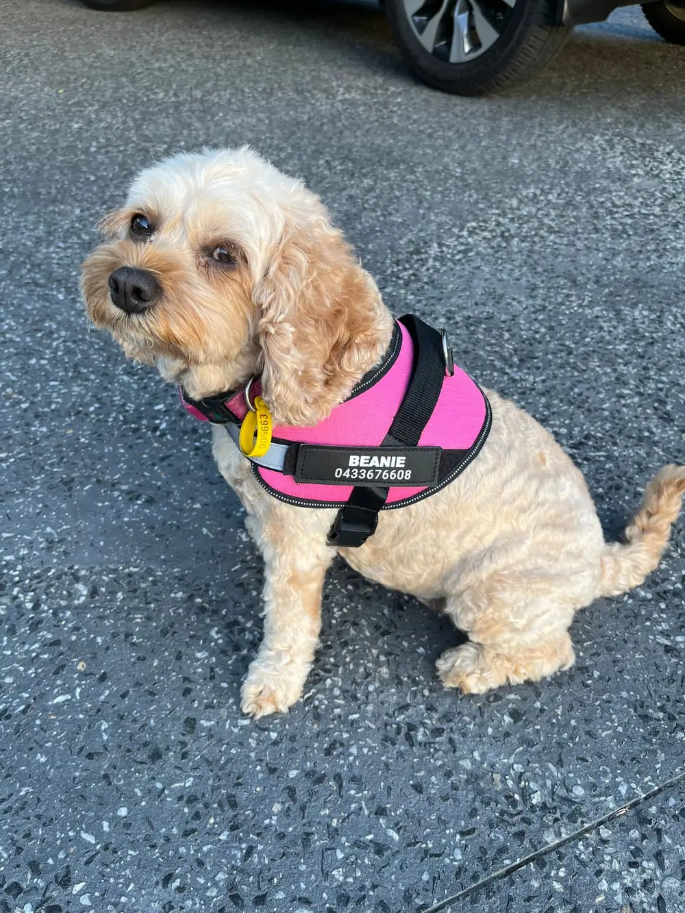 <h2>Some of our 5,000+ happy customers .....</h2>