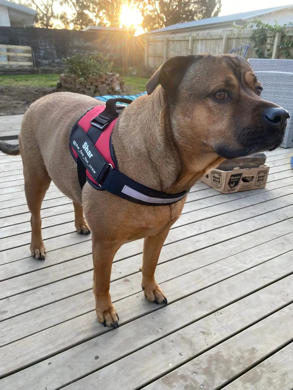 <h2>Some of our 5,000+ happy customers .....</h2>