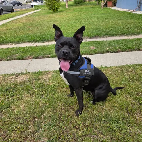 <h2>Some of our 5,000+ happy customers .....</h2>