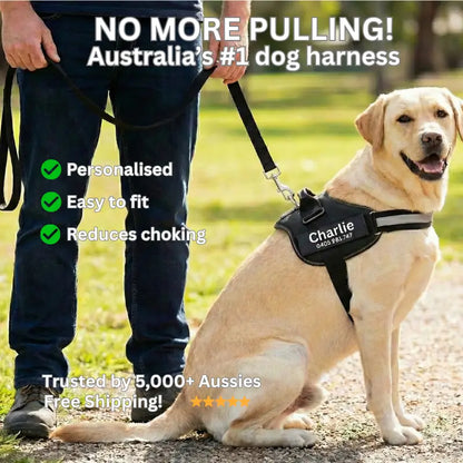 AnimalHaus™ SureStride Harness