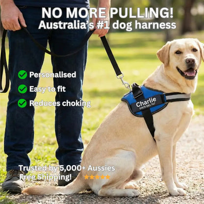 AnimalHaus™ SureStride Harness