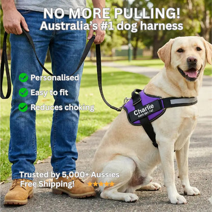 AnimalHaus™ SureStride Harness