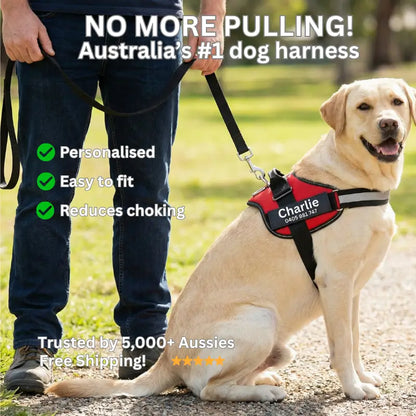 AnimalHaus™ SureStride Harness