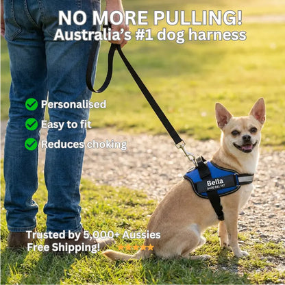AnimalHaus™ SureStride Harness