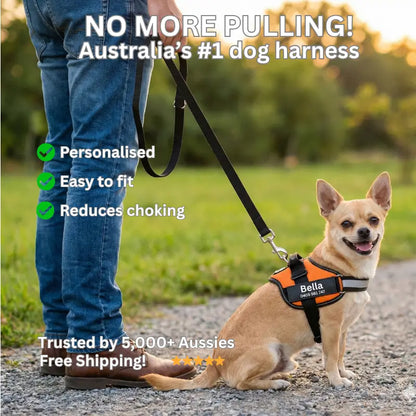 AnimalHaus™ SureStride Harness
