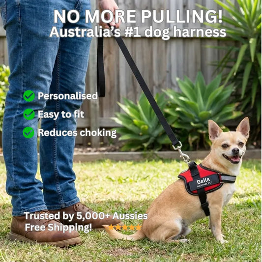 AnimalHaus™ SureStride Harness