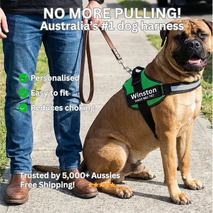 AnimalHaus™ SureStride Harness