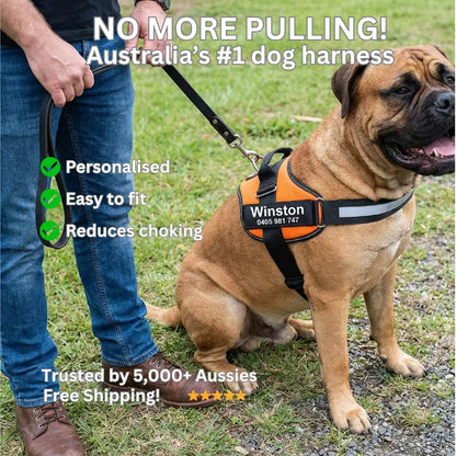 AnimalHaus™ SureStride Harness