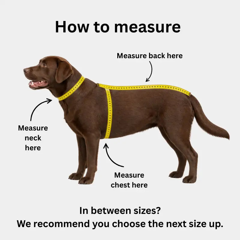 ProPup™ All-Weather Jacket