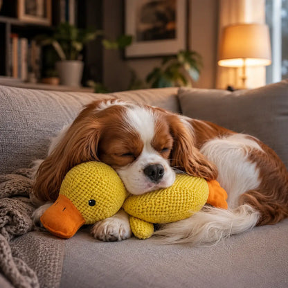 ProPup™ Cuddle Duck