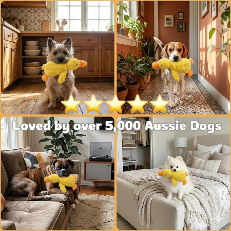 ProPup™ Cuddle Duck